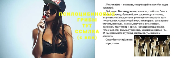 СК Магас