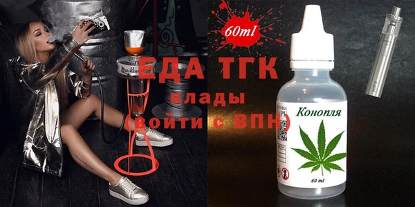 шишки Удомля