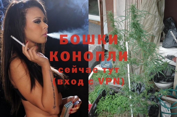 молекула духа Майский