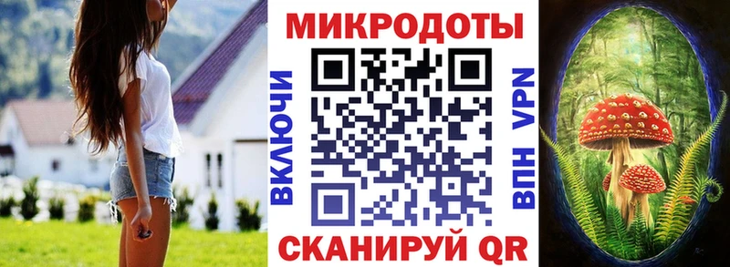 Псилоцибиновые грибы Psilocybine cubensis  закладка  Великий Новгород 